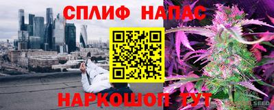спиды Аргун