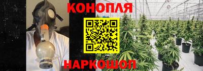 спиды Аргун